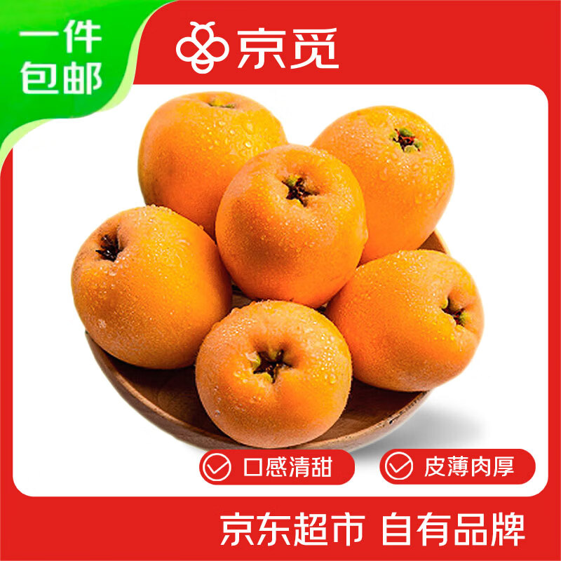 京觅四川枇杷净重2斤 单果30g+当季新鲜水果米易早钟枇杷源头直发