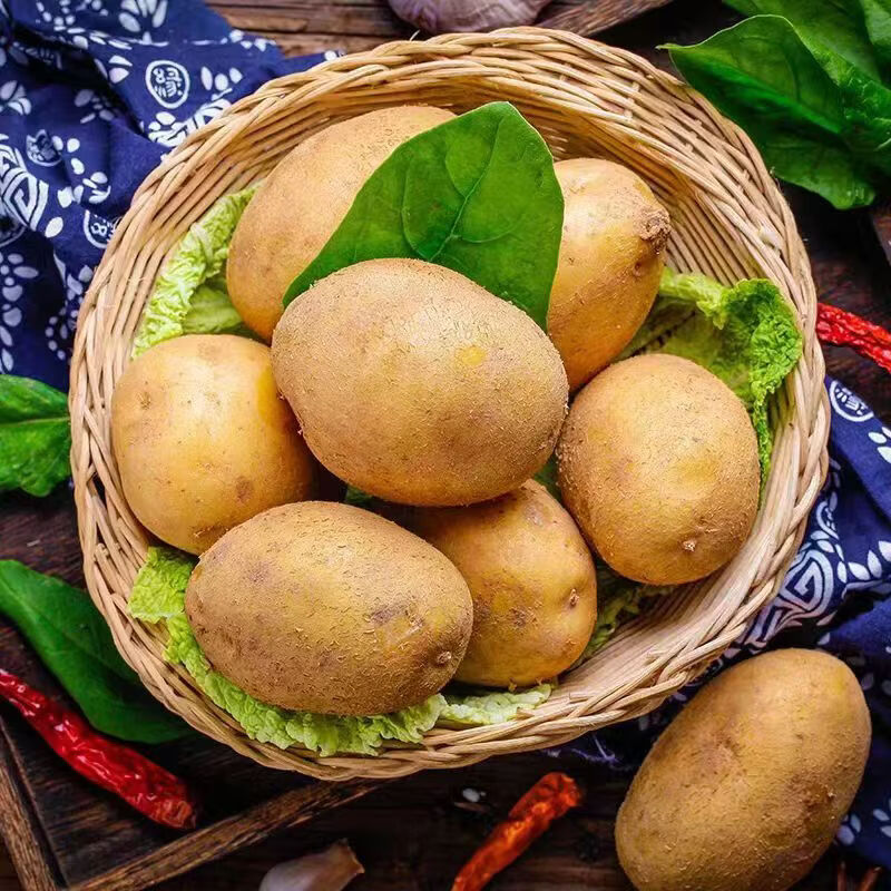 京鲜匠山东新鲜小土豆 现挖黄心马铃薯蔬菜 产地直发 净4.5斤 精品果