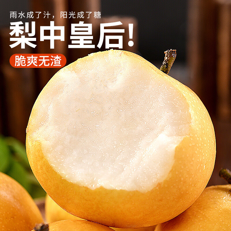 闽域寻鲜山东莱阳羊脂秋月梨应季新鲜水果礼盒送礼现摘冰糖梨子秋月梨 5斤轻享装【净重4.5斤丨约10-12枚】