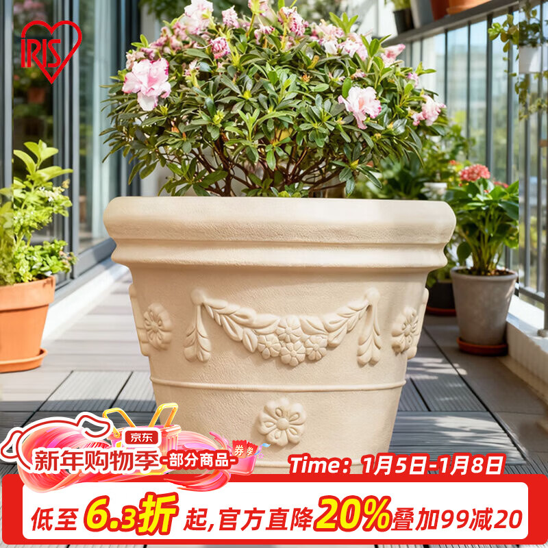 ����˼��IRIS��  ���մɻ���Ӻ�Բ����֬���ϼ�Լ���ڵ����ֻ��������� 300ǳ��ɫ(�ھ�30cm) 35.4Ԫ