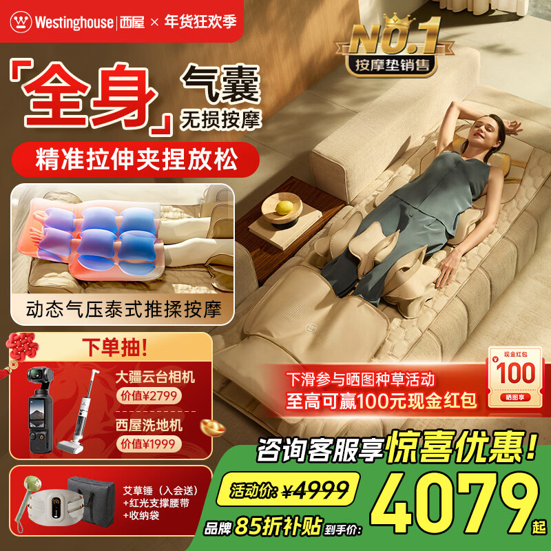 ���ݵ��� S206Pro ��Ħ��  3673.23Ԫ