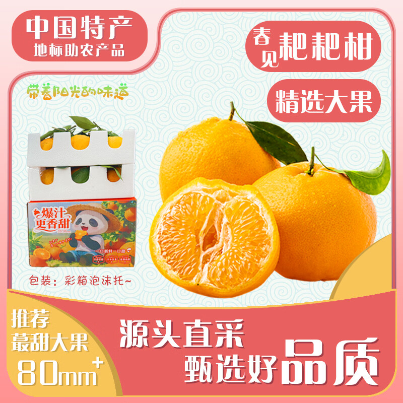闽域寻鲜四川春见耙耙柑（新鲜直采）当季新鲜水果过节送礼手剥橘子耙耙柑 带箱5斤 精选装【单果65-70mm】净重4.5斤