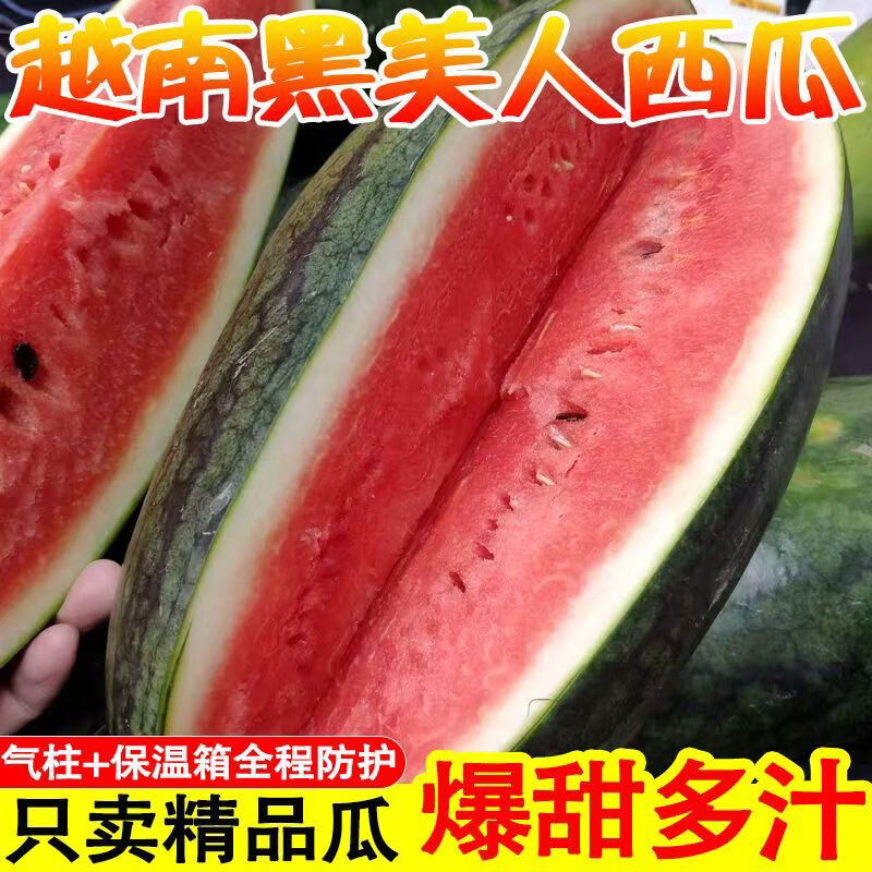 新货正宗越南进口黑美人西瓜整个薄皮新鲜水果当季应季超甜 净重4点1-6斤1个装坏果包赔 气柱+泡沫箱越南黑美人包甜包熟包红