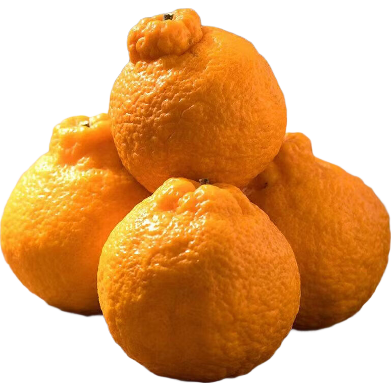 【产地直发】正宗春见耙耙柑应季新鲜现货速发整箱包邮孕妇水果 【中果65mm+】带箱2斤