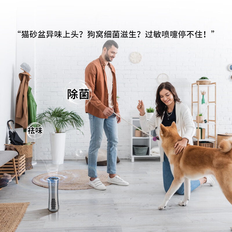 S神光科技桌面小型便携式等离子空气净化杀菌消毒器机防止流感交叉感染去清除异臭味二手烟味过敏原 鎏金灰：轻奢舱内美学，百万级呼吸SPA