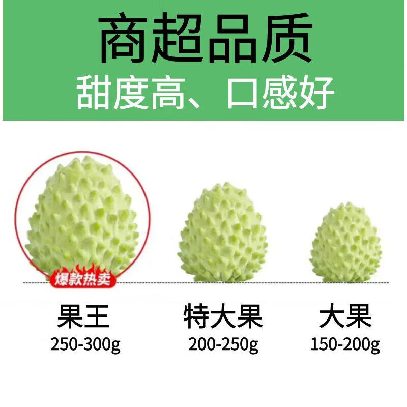 遇见悯农释迦果新鲜牛奶凤梨释迦广西番荔枝热带水果释迦节日送礼 礼盒 净重2.5斤【单果150g起】 超值花皮果