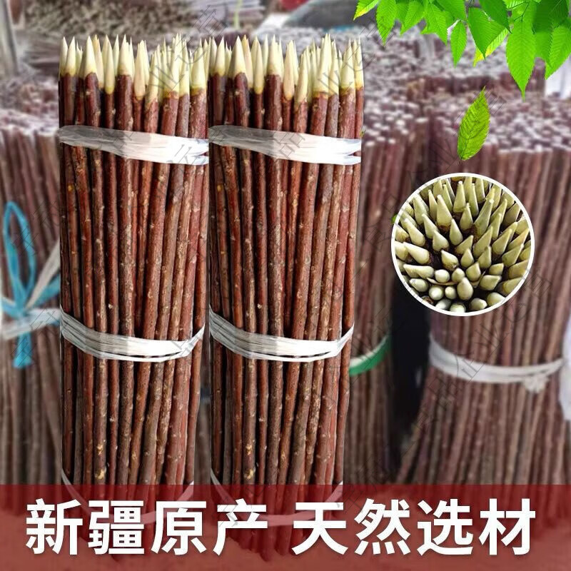 其他家红柳签红柳正宗红柳签烧烤大量批发红柳签红柳枝烧烤签 30长3毫米50根特细