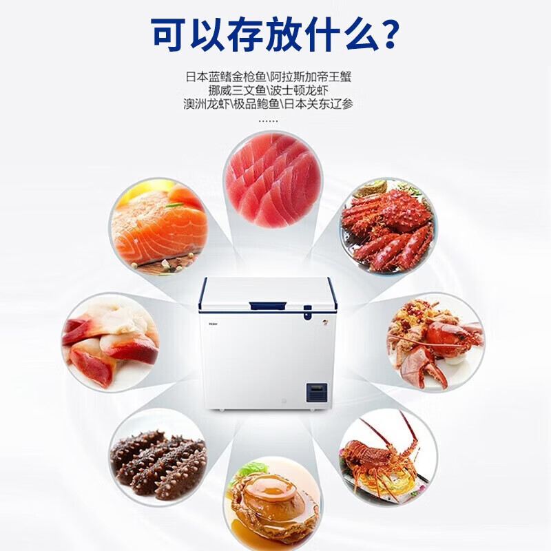 海尔(Haier)零下-70/-60°C度超低温冰柜家用商用大容量冻金枪鱼三文鱼海鲜深冷速冻实验室高端酒店细胞级冷柜 零下65度+304不锈钢内胆+WIFI互联 451升