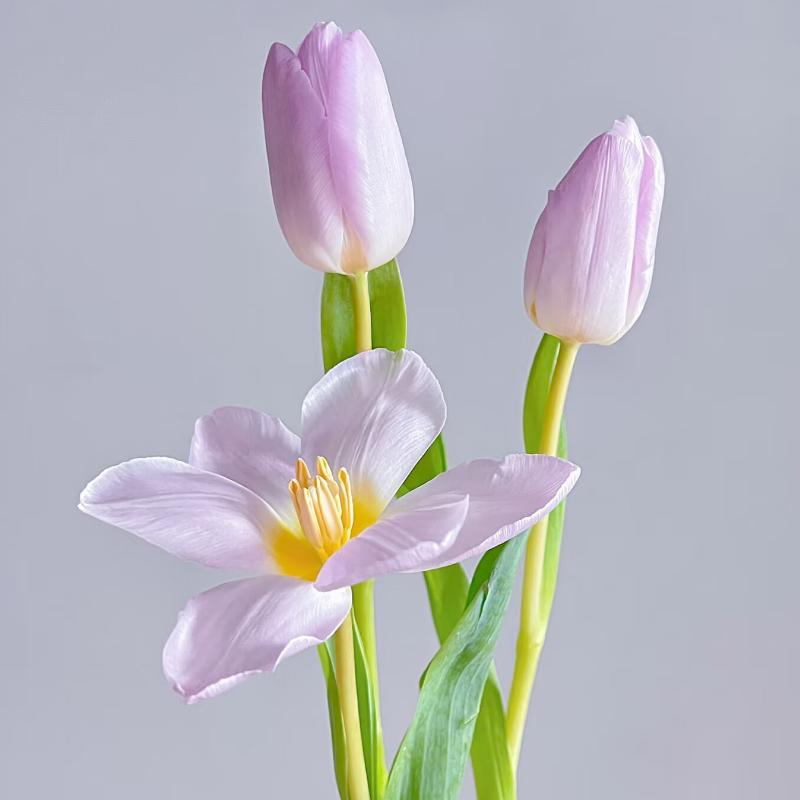 ���� ������ �ǹ�����10֦ ǳ��ɫ 19.9Ԫ����(����ȯ)