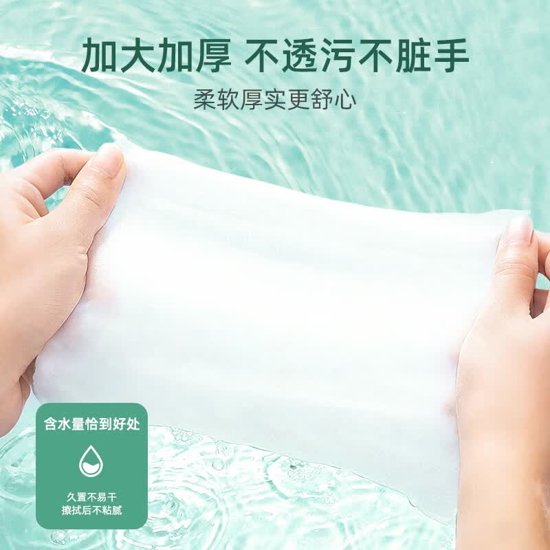 内廷上用北京同仁堂 洋甘菊精粹奢护湿巾湿厕纸【60抽/包】擦除99.9%细菌 60抽 5包 【有痔专享】