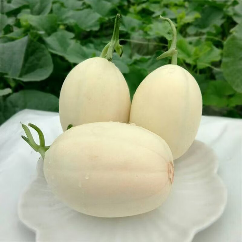 田园东方 ORIENT IDYLL海南冰糖脆梨甜瓜 带箱 5斤装（净重4.5斤）约1-3个