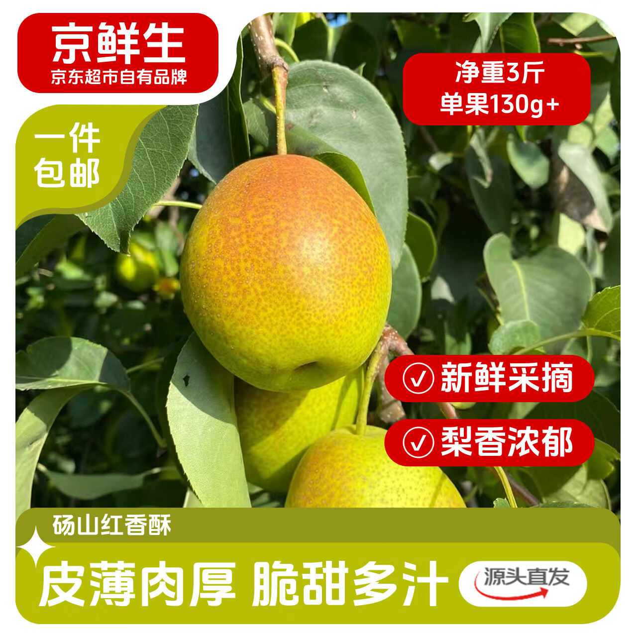 京鲜生安徽砀山红香酥冰糖梨 3斤装 单果130g+ 生鲜水果源头直发
