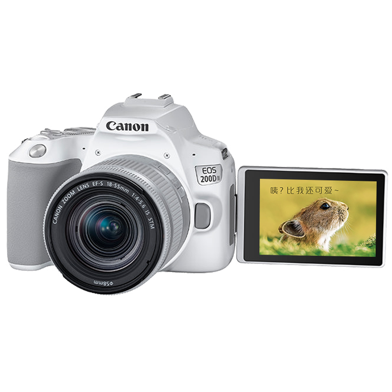 佳能（Canon） EOS 200D二代 200d2代单反相机入门单反vlog迷你单反数码照相机 200DII黑色单机+佳能18-135镜头套装 标配【不含内存卡/不送大礼包】