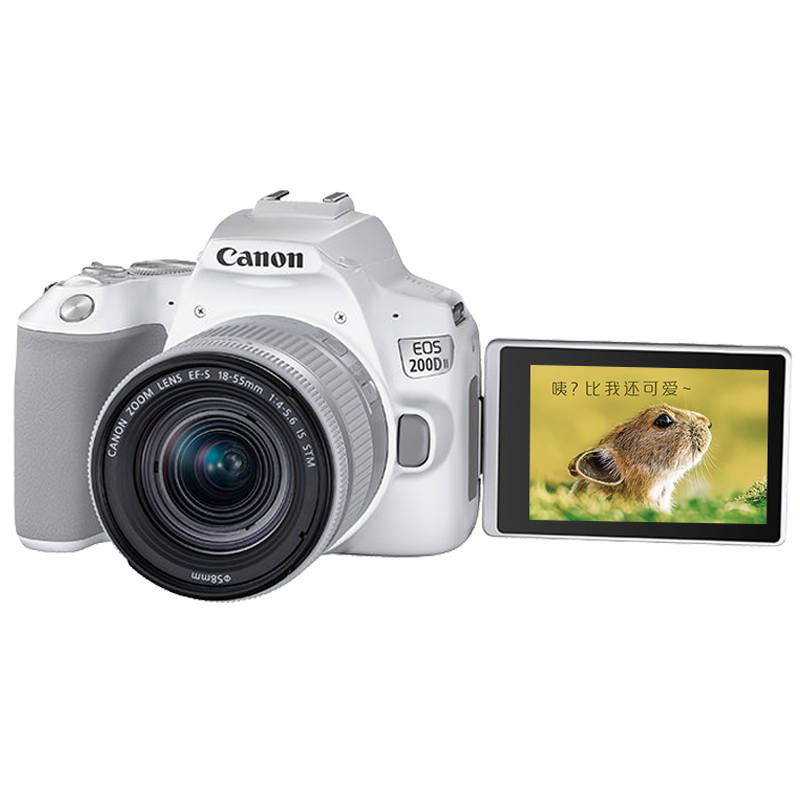 ���ܣ�Canon�� EOS 200D���� 200d2������������ŵ���vlog���㵥����������� 200DII��ɫ18-55 STM�׻������ż��á� �ײ�һ��128G�ڴ濨~��������~Vlog��װ��