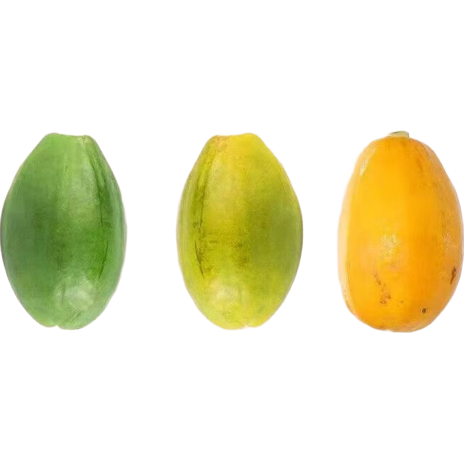 �㶫����ľ��������ţ��ľ������ˮ����ժ������ľ���ַ����� 1��װ ���� ����400-600g 8.99Ԫ