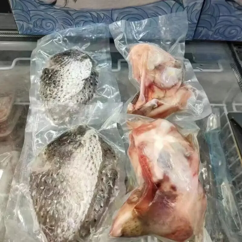 【顺丰包邮】正宗海南野生刺鲍鱼刺龟海南刺豚鱼皮海南高档海鲜 每条 2.5-3.01斤【发三条】海南千年渔港直发【野生】