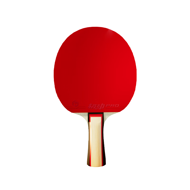 �������� ��������ƹ�����ĺ��ĵ��� רҵ����ѵ��������װ ���İ�+10��