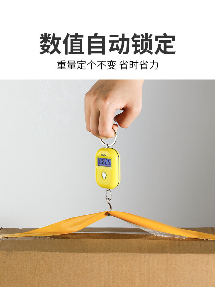 【好物优选】精准迷你手提电子秤高精度便携式小型弹簧秤吊秤家用买菜随身小秤 经典黑【最大可称50斤】送电池