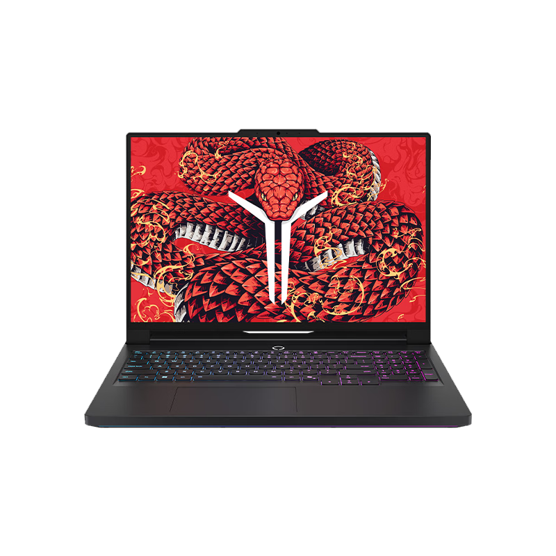 ���� ������R9000P 2025�� 16Ӣ�� R9-8945HX RTX5060 240Hz ��Ϸ�� 32G 1T ��ɫ