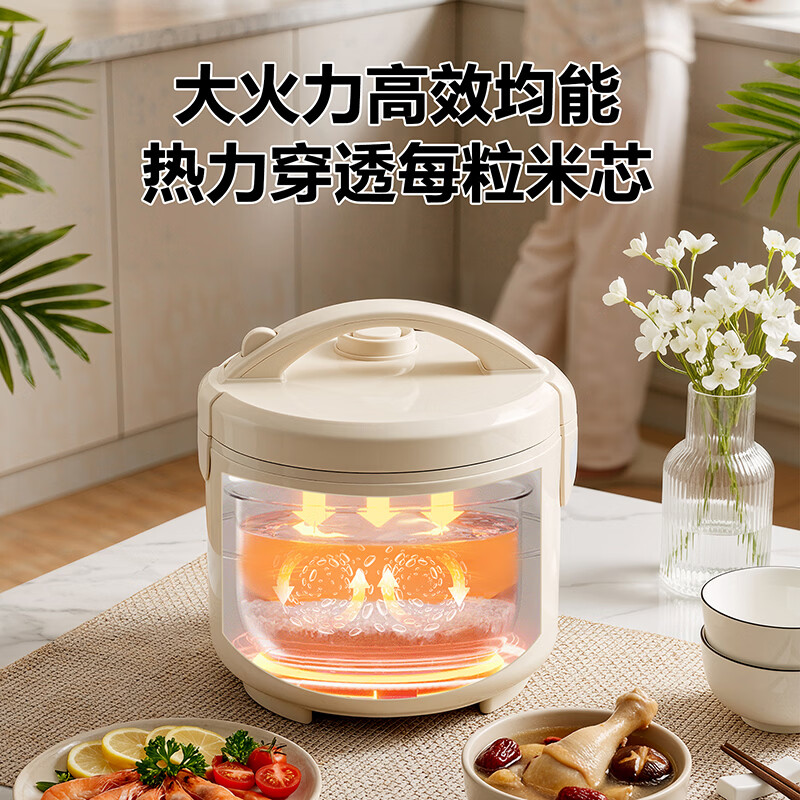 三角牌（Triangle）电饭煲 家用大容量简易操作老式西施煲不粘内胆柴火饭小型电饭锅带蒸笼 6L 升级陶瓷油厚釜胆（适用5-9人）