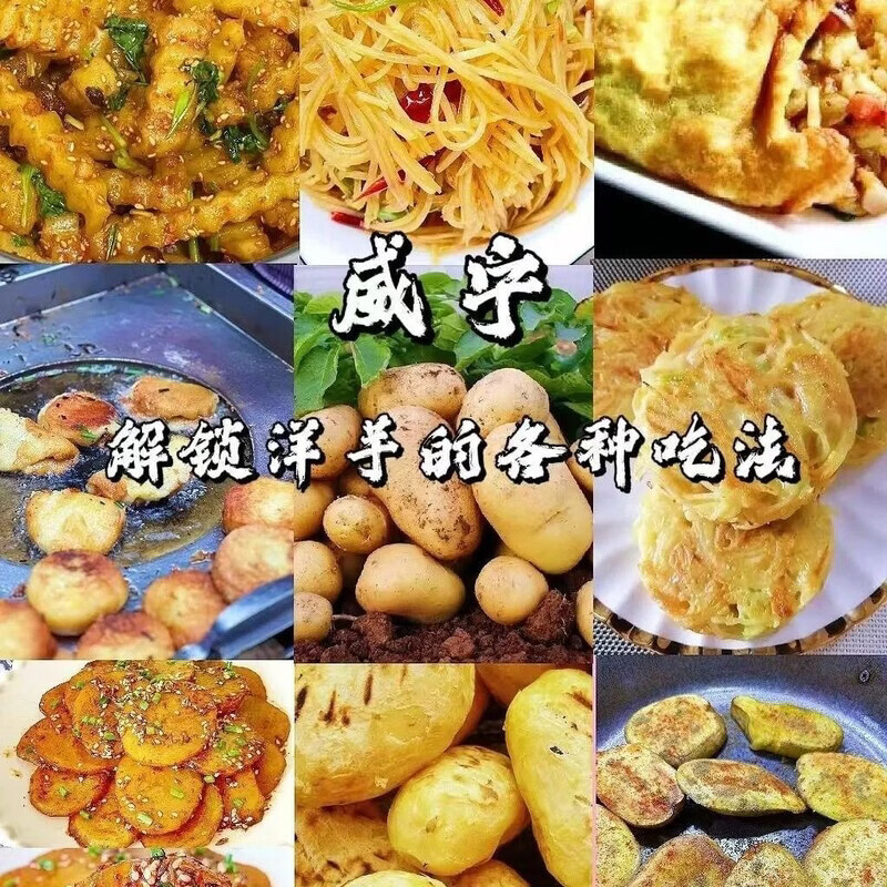 贵州威宁土豆蔬菜马铃薯洋芋黄皮黄心土豆新鲜整箱正宗现挖现发 贵州黄心土豆【10斤装】更划算