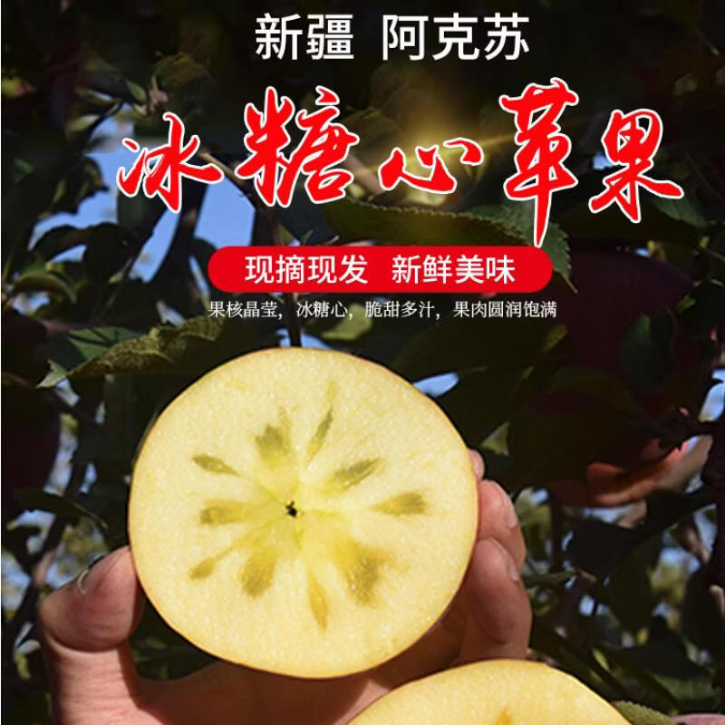 都食田间正宗阿克苏冰糖心苹果新疆生鲜脆甜多汁整箱新鲜采摘产地直发水果 中通/邮政随机不接受指定_110-350g 12个 礼盒果王，约8-9斤