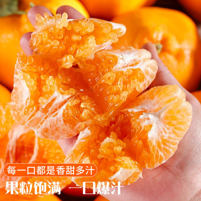 相遇红颜四川眉山春见耙耙柑新鲜橘子正宗粑粑柑当季桔子孕妇水果 5斤(单果70mm起)