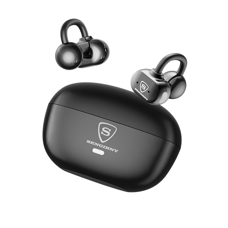 SENGIRNY ʥ���� ����ʽ�Ǵ����������� AI���� �����˶���ˮ 2026�¿� 319.5Ԫ