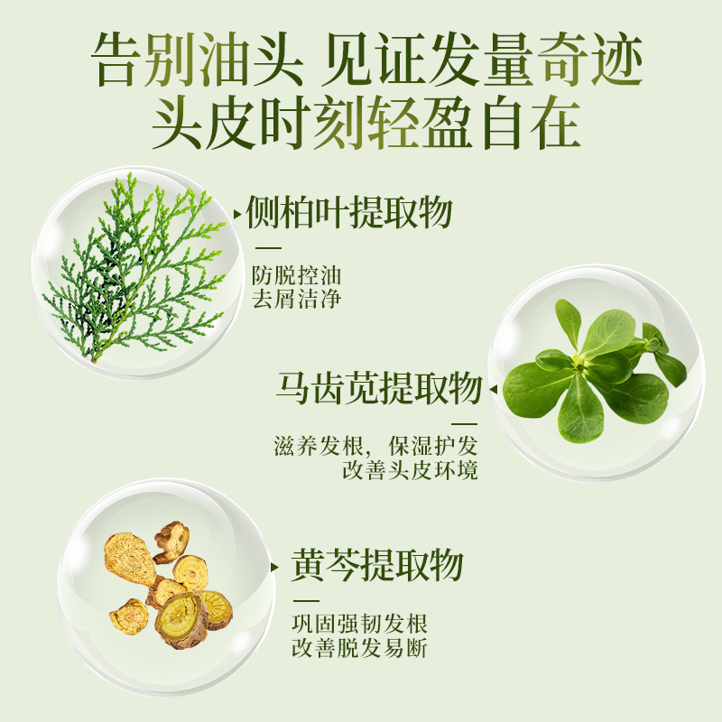 霸王防脱精华液控油去屑强根固发侧柏叶头皮营养液男女士适用 防脱头皮精华55ml*3瓶