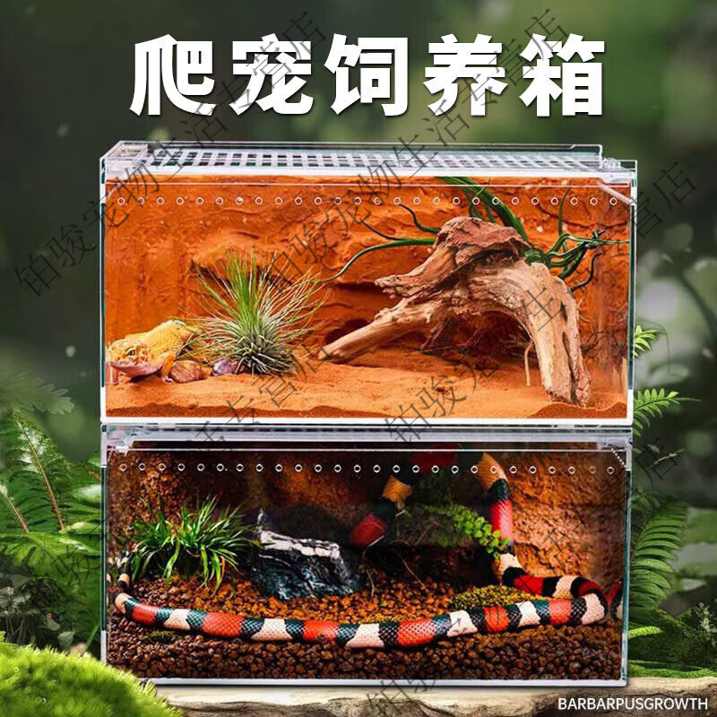 爬宠饲养盒透明亚克力一体免组装寄居蟹饲养缸蝎子蛇昆虫生态箱 小号磁吸开关10*8*7
