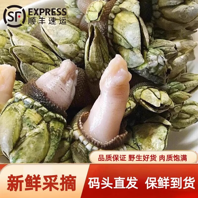 ��֮溷����ݶ쾱�ٺ���צ�ݱʼܱ������Žźź���ˮ��˳�� �к� 1000g ��70-80��/� 1720Ԫ��5��(��344Ԫ/��)