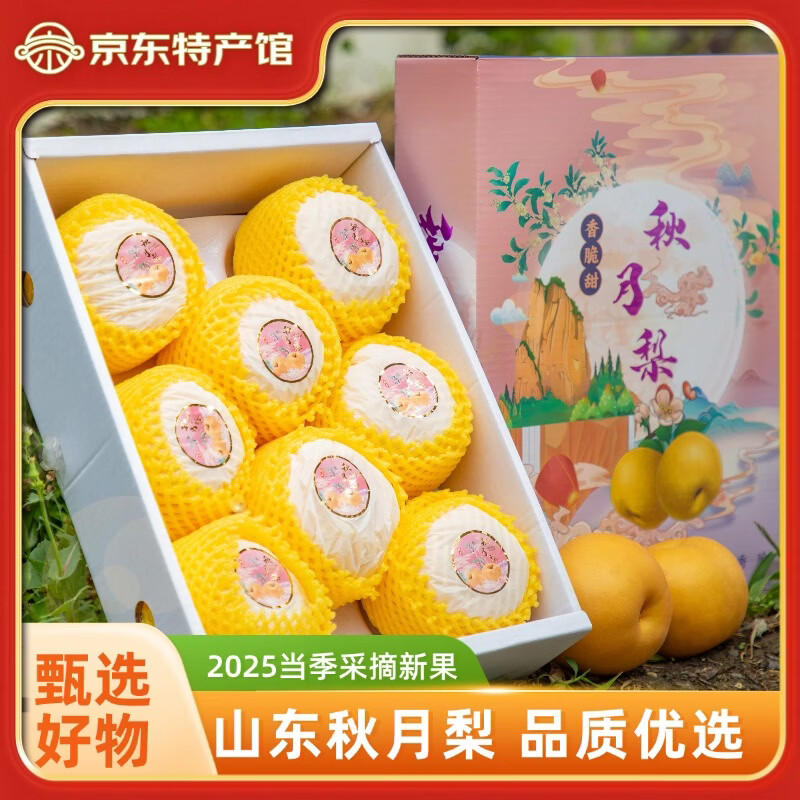 【活动专享】山东冰糖秋月梨 脆甜多汁梨子新鲜水果 礼盒送礼佳品 【推荐】单果约350g+｜净4.5斤｜4-6颗