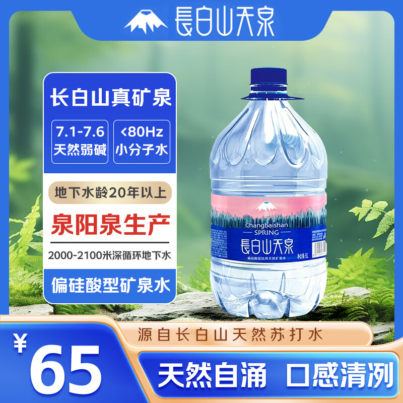 长白山天泉 偏硅酸型天然矿泉水 (泉阳泉生产) 天然弱碱性矿泉水 5L*4桶