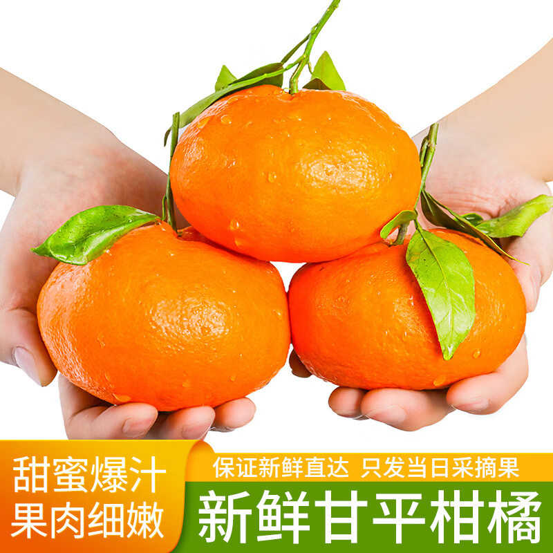 馋果野四川眉山甘平柑橘应季水果柑橘皇后老少皆宜生鲜水果 甘平果王9斤/带箱【90-100mm】