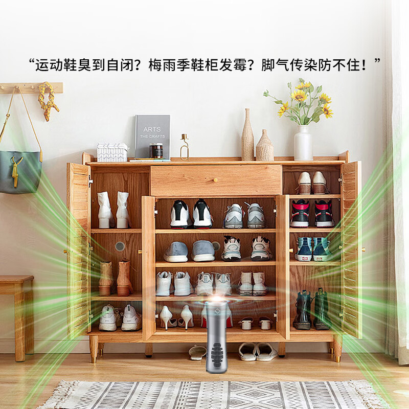 S神光科技桌面小型便携式等离子空气净化杀菌消毒器机防止流感交叉感染去清除异臭味二手烟味过敏原 鎏金灰：轻奢舱内美学，百万级呼吸SPA