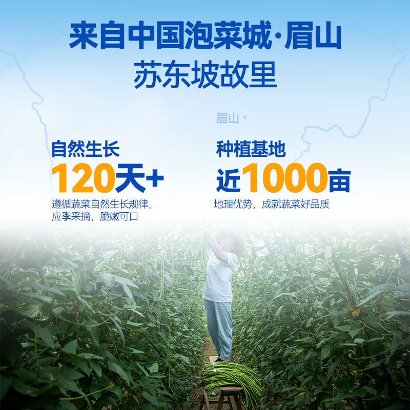 吉香居 榨菜萝卜真芯泡椒豇豆风干麻辣萝卜干下饭菜咸菜配粥即时泡菜 泡椒豇豆25g*20袋