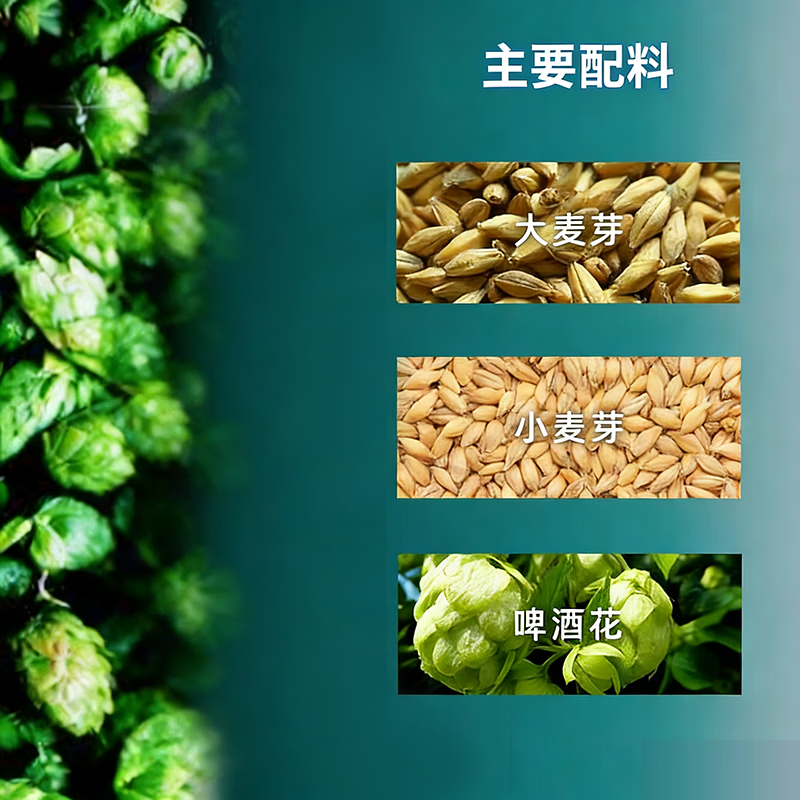 鹏城客比利风味小麦精酿白啤原浆啤酒深圳品牌进口全麦芽 比利时小麦风味精酿原浆白啤 6L 6瓶 整箱装