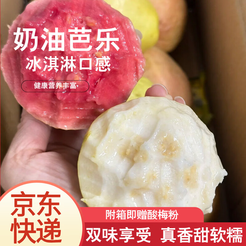 绿熊庄园京东快递奶油软糯红白心芭乐番石榴新鲜当季香甜软芭乐健康轻食 双拼红白心芭乐 净重3斤