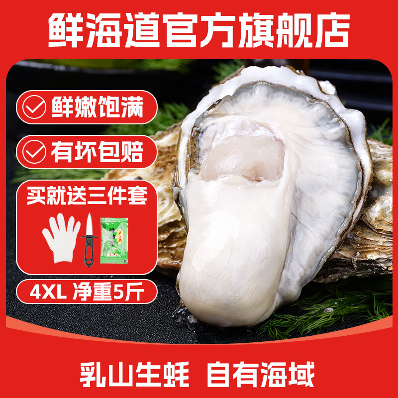 鲜海道 鲜活乳山生蚝4XL 净重5斤10-14只生鲜海鲜贝类 源头直发年货送礼