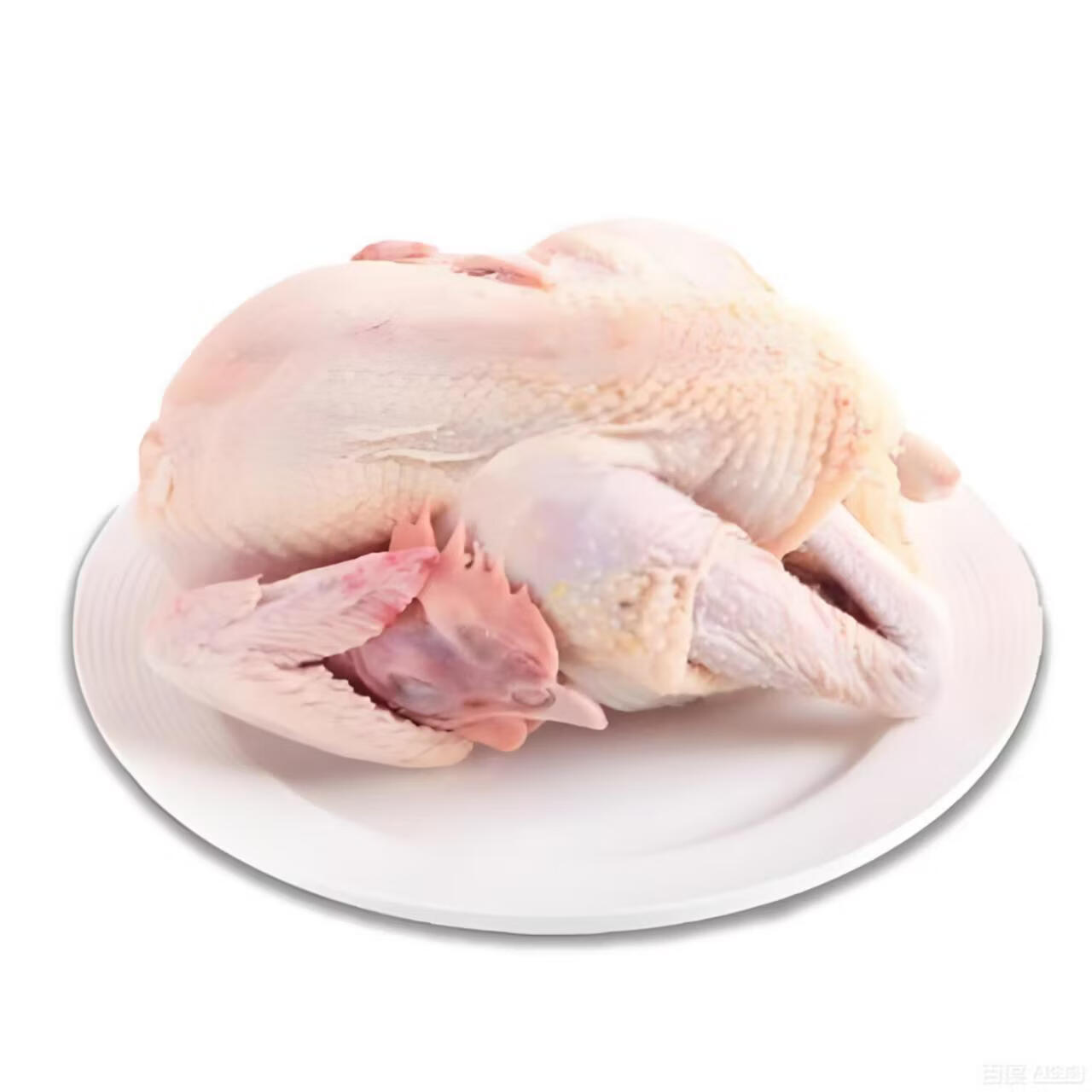 江七公农家散养走地鸡整只鲜土跑步土鸡无抗无激素 沂蒙山散养母鸡 一只黄油母鸡净重2斤