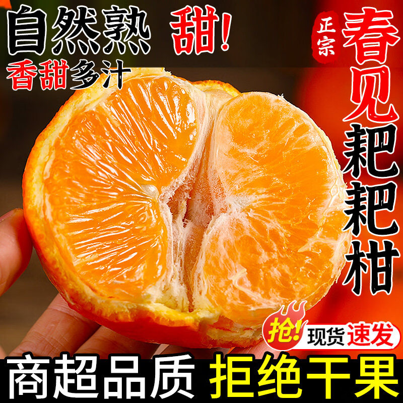果香滋四川春见耙耙柑新鲜水果当季整箱正宗橘子丑柑橘粑粑柑桔大果包邮 精选4.5斤大果（70-75mm）