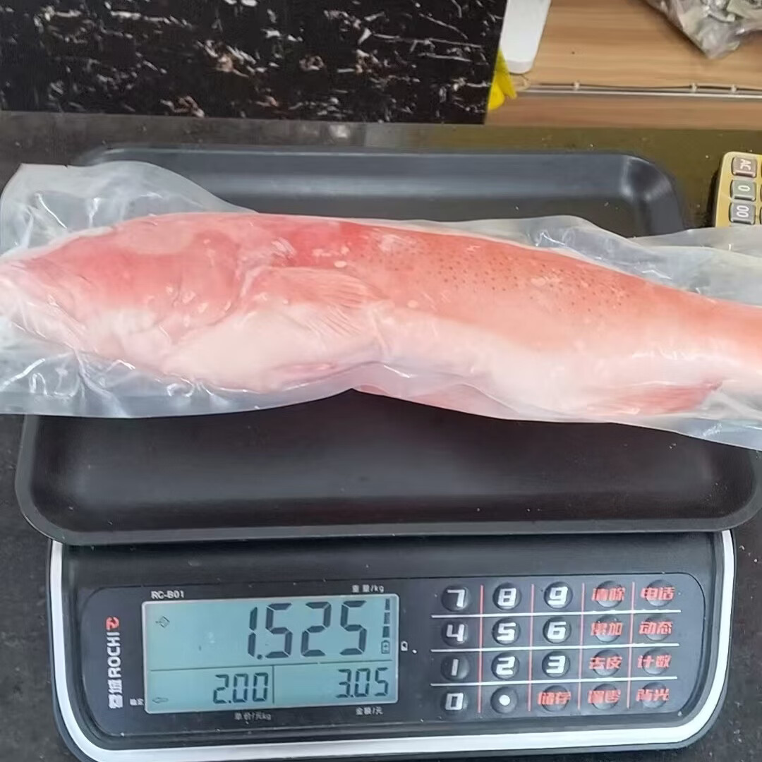 【顺丰包邮】海南正宗全红东星斑鱼深海南海海钓鲜活冷冻深海冰鲜 每条 3.52 斤-4.01 斤【发三条】【精选东星斑-全红