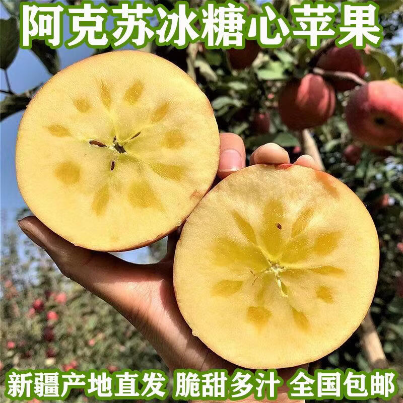都食田间正宗阿克苏冰糖心苹果新疆生鲜脆甜多汁整箱新鲜采摘产地直发水果 中通/邮政随机不接受指定_110-350g 12个 礼盒果王，约8-9斤