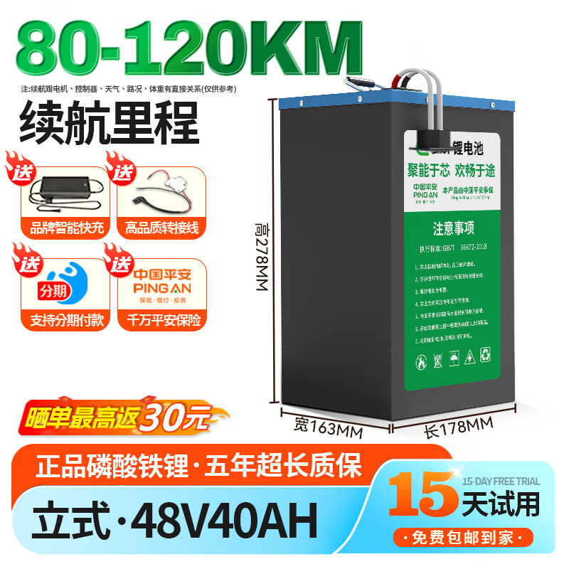 岑欢宁德电池电动车锂电池磷酸铁锂三元锂电芯48v60V72v二三轮全新 【比亚迪电芯】48V40Ah 参考80-120KM+专用快充+立式