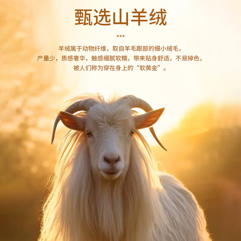 浪莎羊毛蚕丝秋衣秋裤女保暖内衣7A抗菌防螨AB面磨绒发热女士保暖套装 浅绿色 2XL