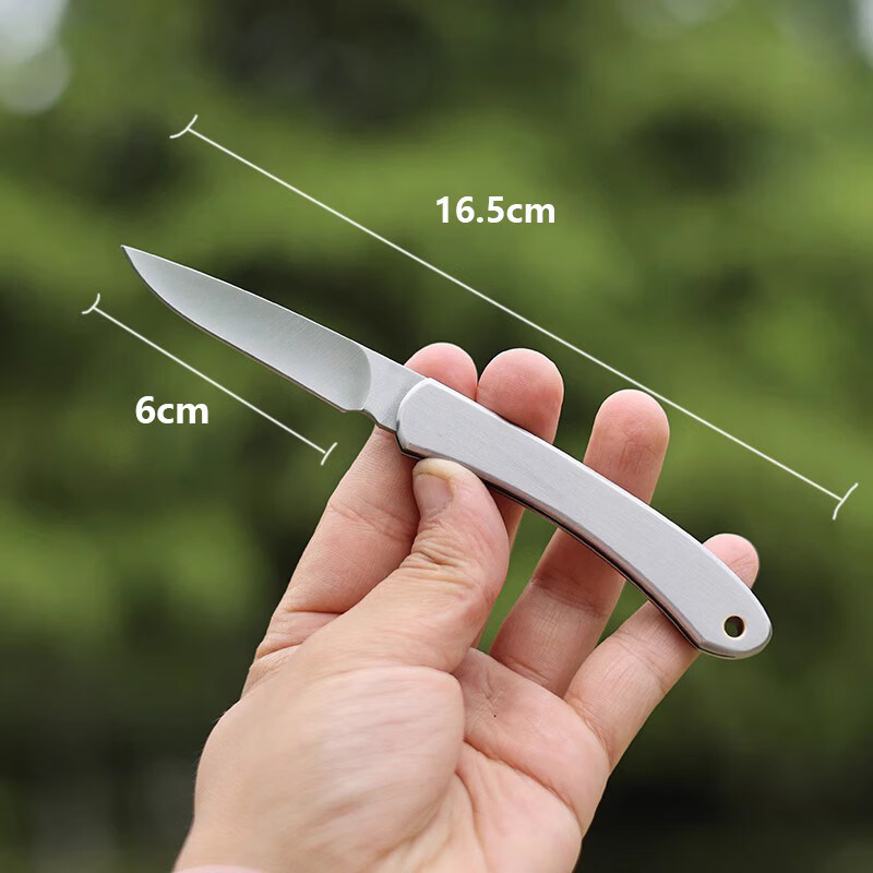 不锈钢折叠水果刀便捷随身旅行钥匙刀迷你小刀瓜 中号  刃长4.5cm (飞机高铁 可携带) 60°以下 x 3cm x 5cm