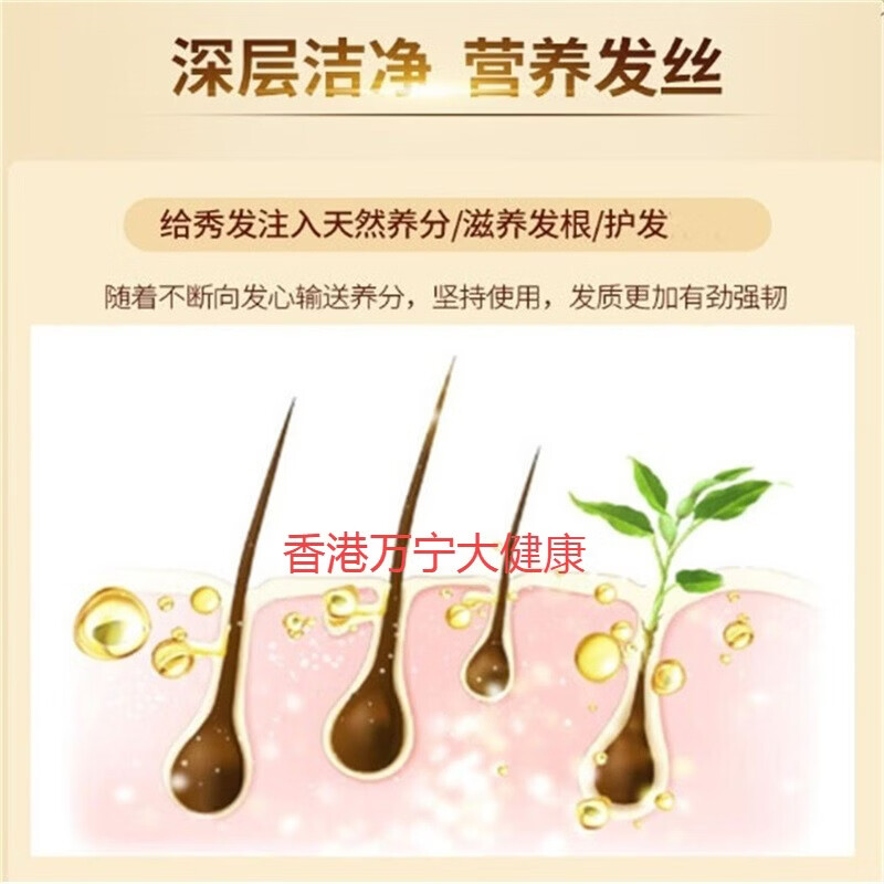 老瑤薑【香港进口】老瑶姜生姜洗发水 姜米酵素精华姜汁去屑 【认准香港 老瑶姜洗发一瓶装  百亿补贴活动中