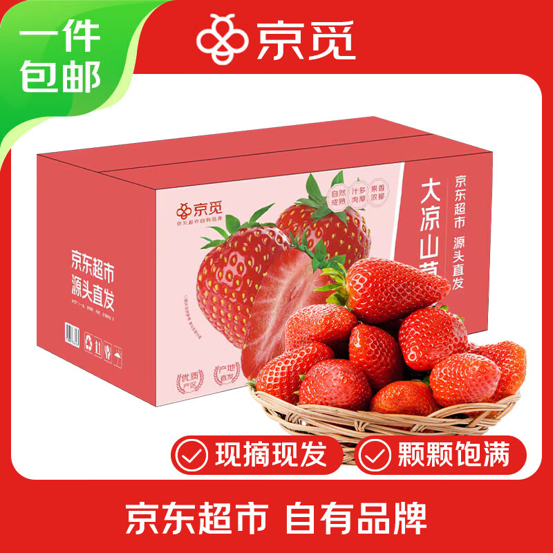 京觅 四川大凉山草莓2盒装 单果13g+ 净重600g 生鲜水果 源头直发