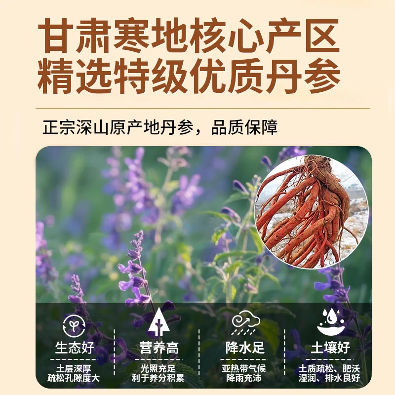 同仁堂（TRT）【年货节】秦岭野生特级丹参正品丹参片天然无添加泡水泡茶中药材 秦岭野生紫丹参片[高含酮量] 1瓶*1瓶 精选野生丹参片500克罐装【店家推荐】