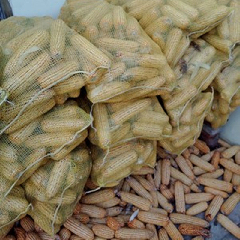 泰隆齐网眼袋编织袋玉米蔬菜水果干果家禽柚子土豆花生蒜农产品网兜袋